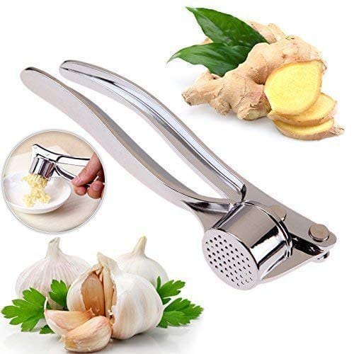 Stainless Steel Garlic Press